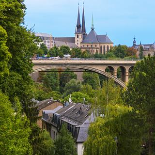 Page affiliation Campanile