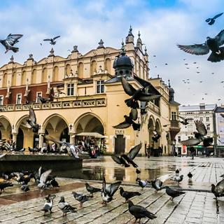 Page affiliation Campanile