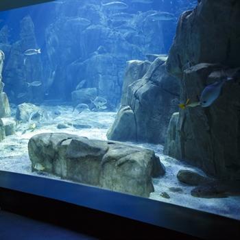 hôtels Campanile Aquarium de La Rochelle
