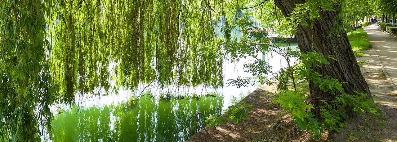 Hôtels Bonneuil-sur-Marne Kyriad