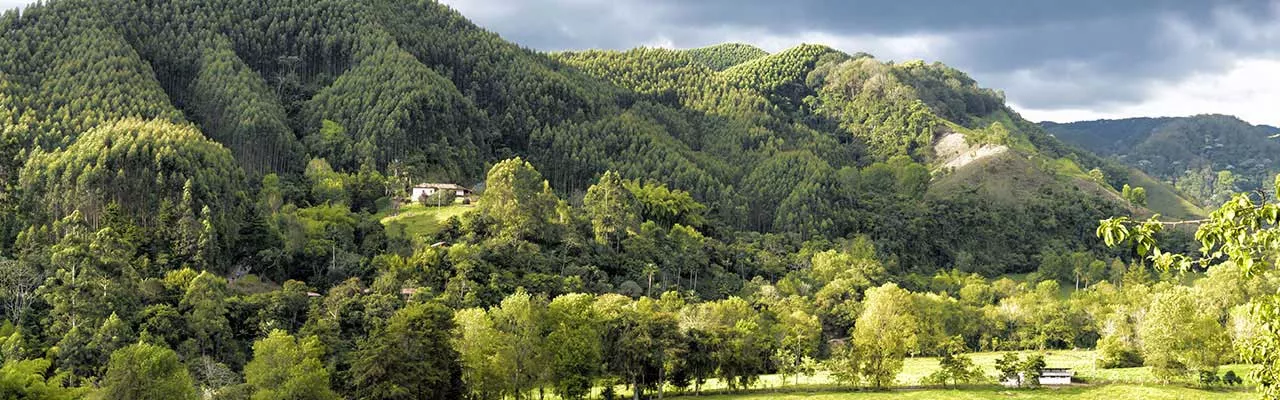 Hôtels Artigues Campanile