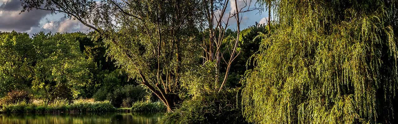 Hôtels Bonneuil-sur-Marne Campanile