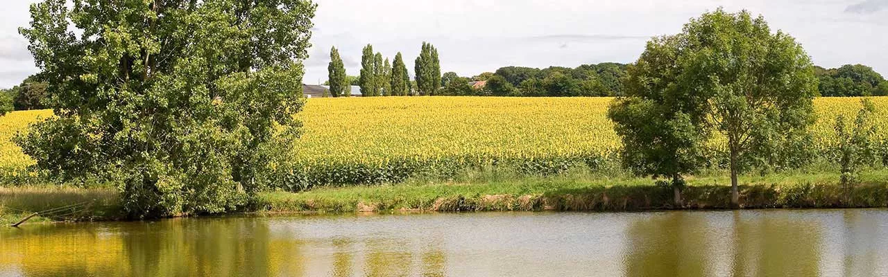 Hôtels La Ferté-Bernard Campanile