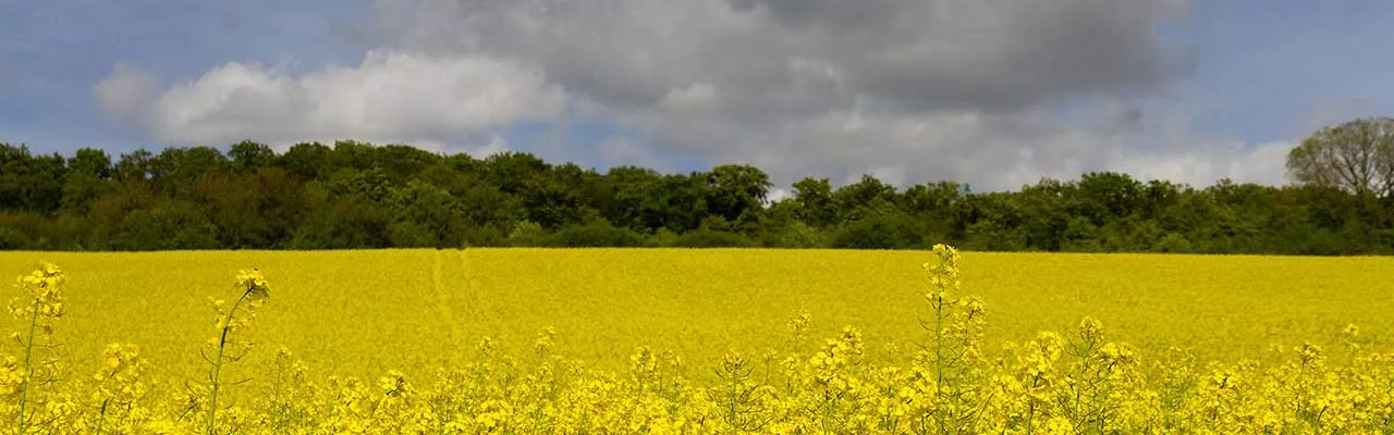 Hôtels Saint-Germain-lès-Corbeil Campanile