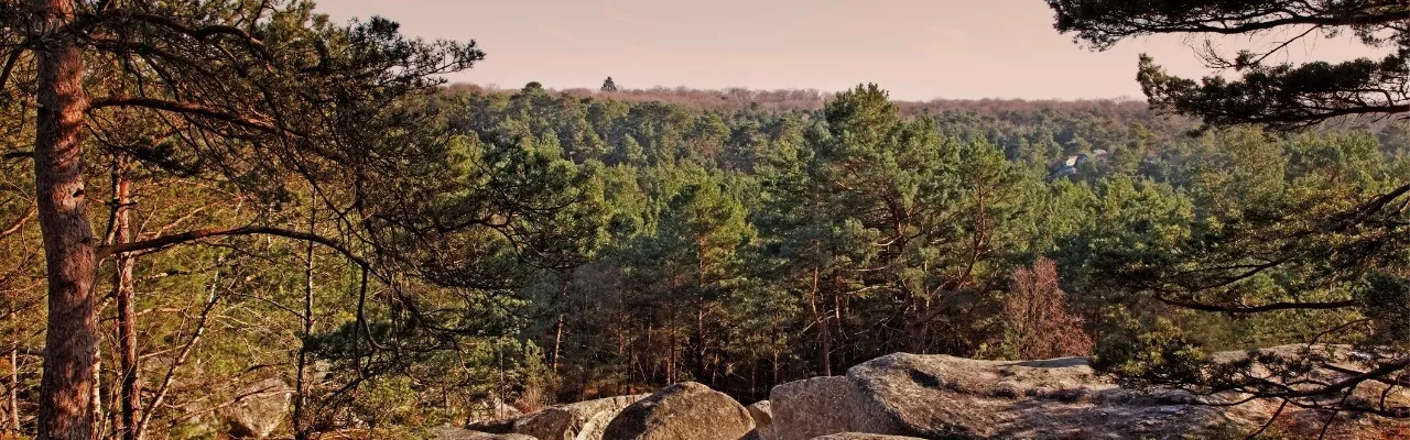 Forêt de Fontainebleau