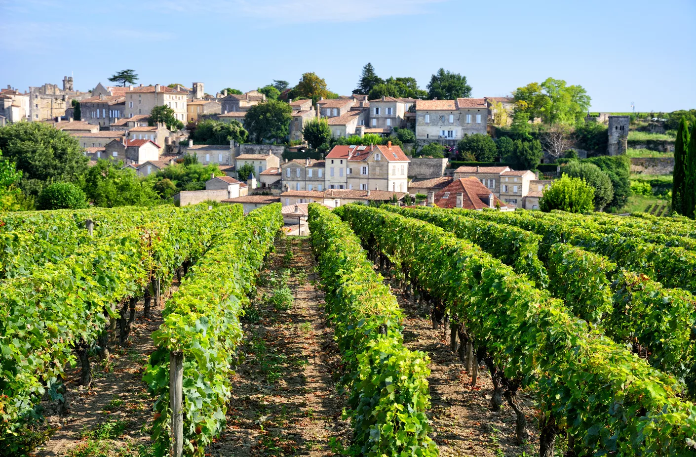 Œnotourisme à Bordeaux