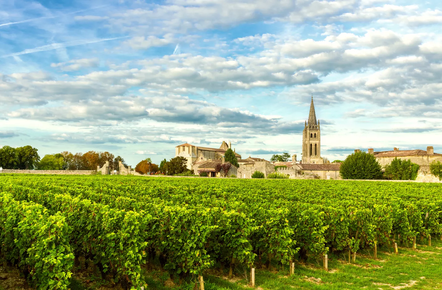 Quels sont les vignobles à visiter à Bordeaux ?