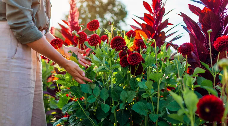 Quelle est la meilleure saison pour visiter le parc floral de Bordeaux ?