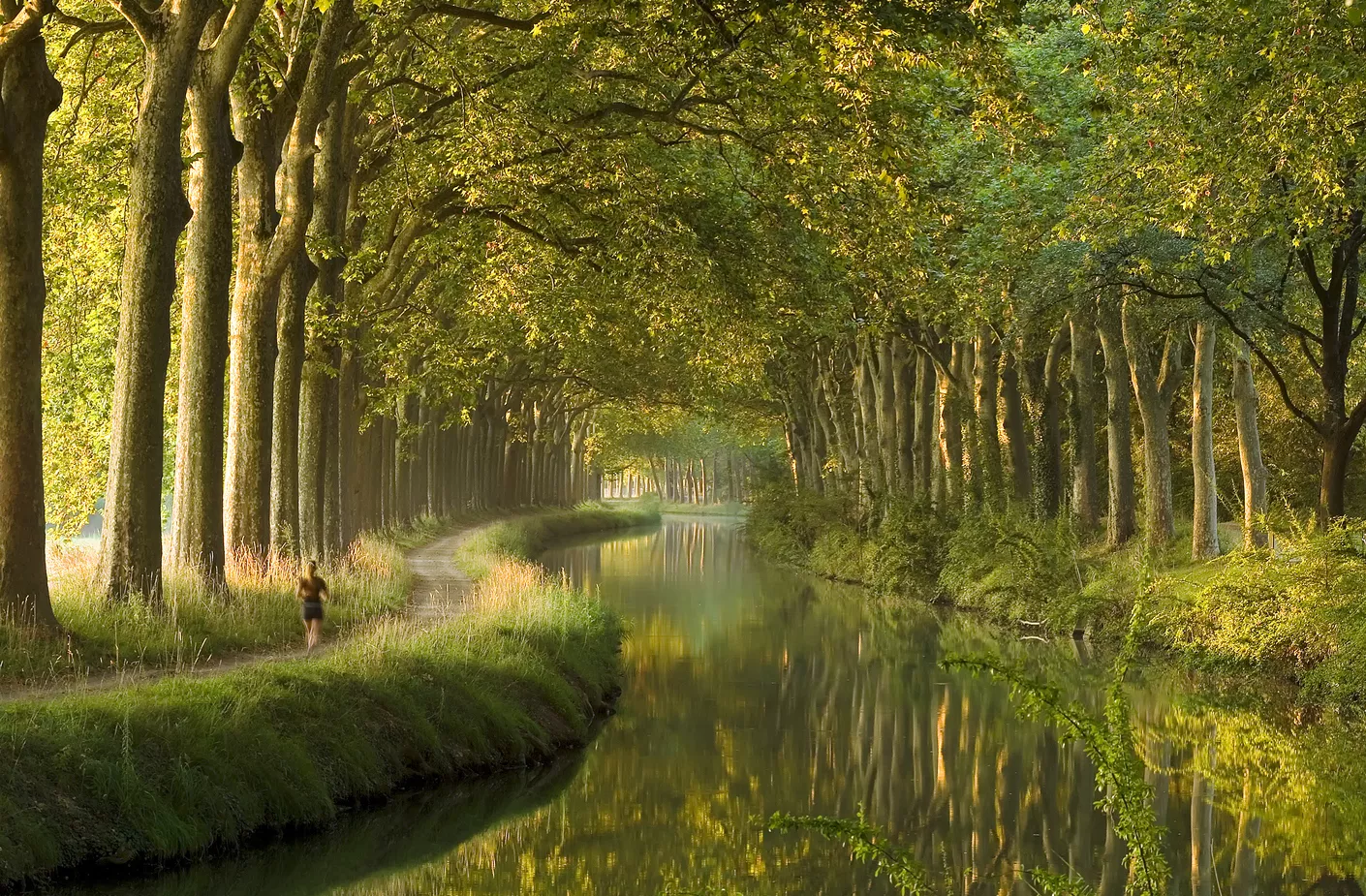 Nos conseils pour une balade réussie au bord du canal du Midi