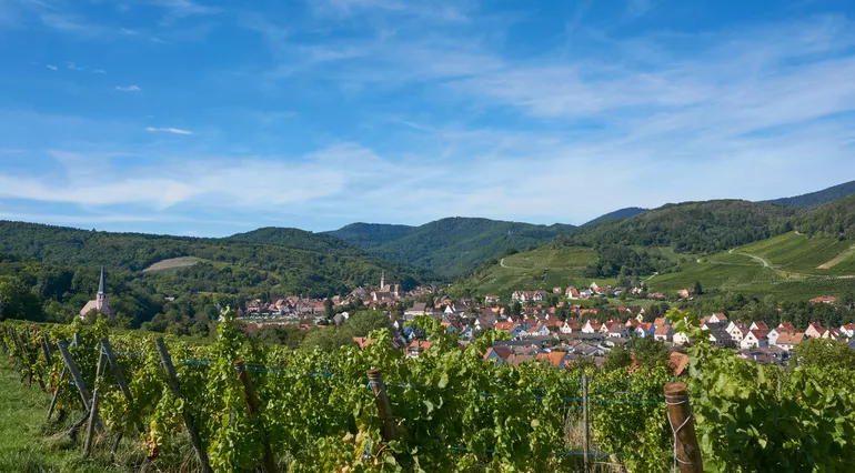 Que faire à Strasbourg en été ?