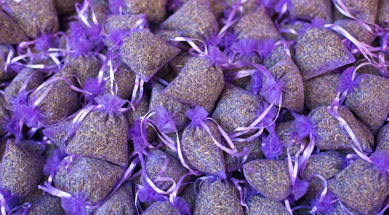 Où visiter des champs de lavande près d'Aix-en-Provence ?