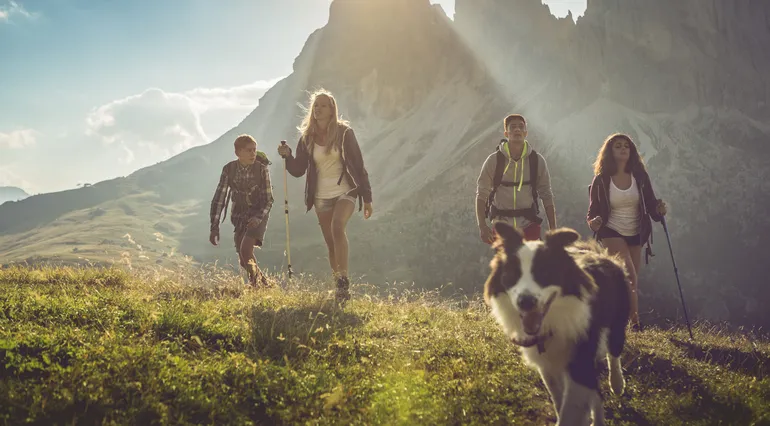 Où partir en vacances avec son chien ?