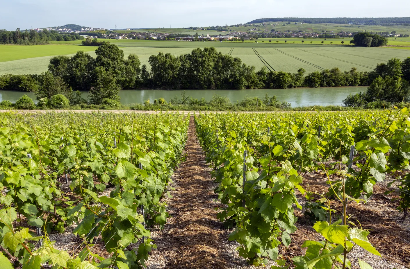 Les plus beaux villages à visiter autour de Reims