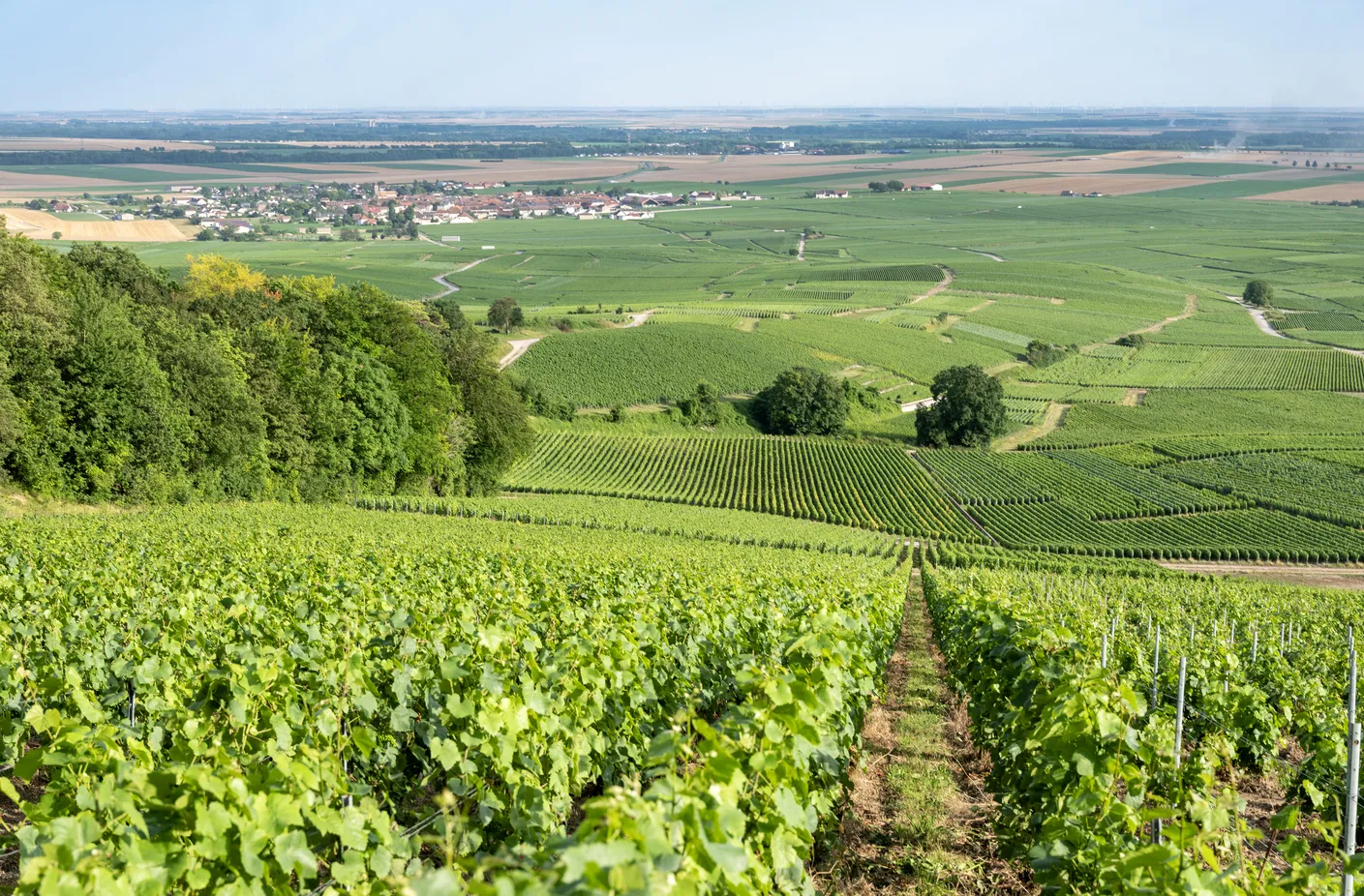 Que faire lors d'un week-end en amoureux à Reims ?