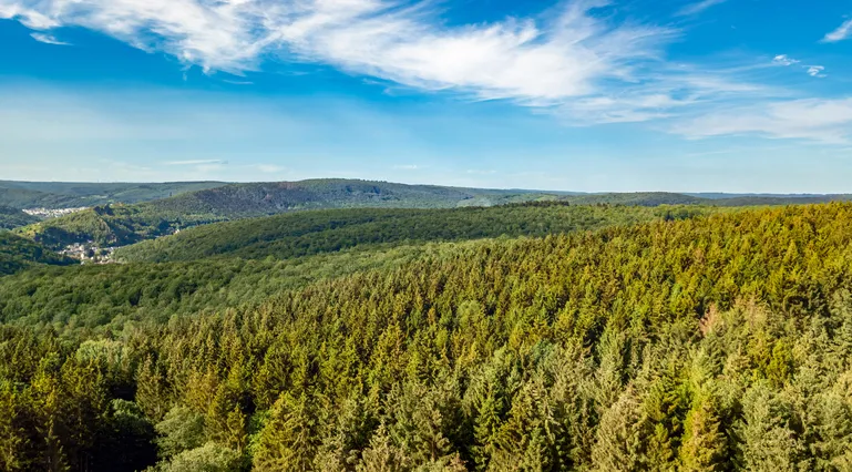 Quelles sont les balades à faire en Champagne ?