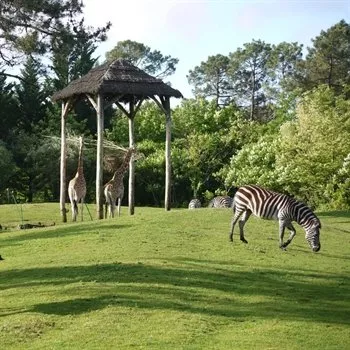 hôtels Campanile Zoo de Bordeaux-Pessac