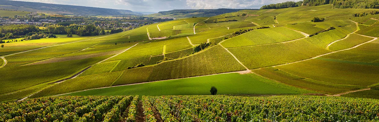 hôtels Campanile Champagne-Ardenne