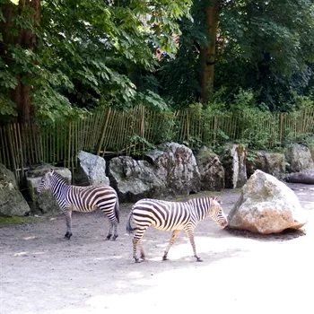 hôtels Campanile Zoo de Lille