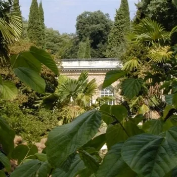 hôtels Campanile Jardin des Plantes de Montpellier