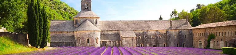 hotel Golden Tulip France
