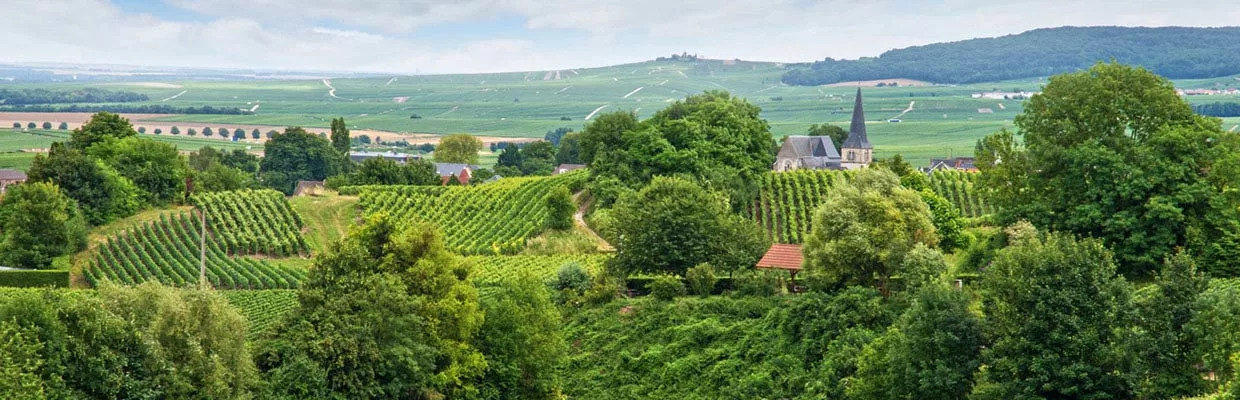 Hotels Golden Tulip in Reims