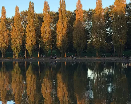 Hôtels Première Classe hauts de seine