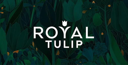 actu_home_royal_tulip